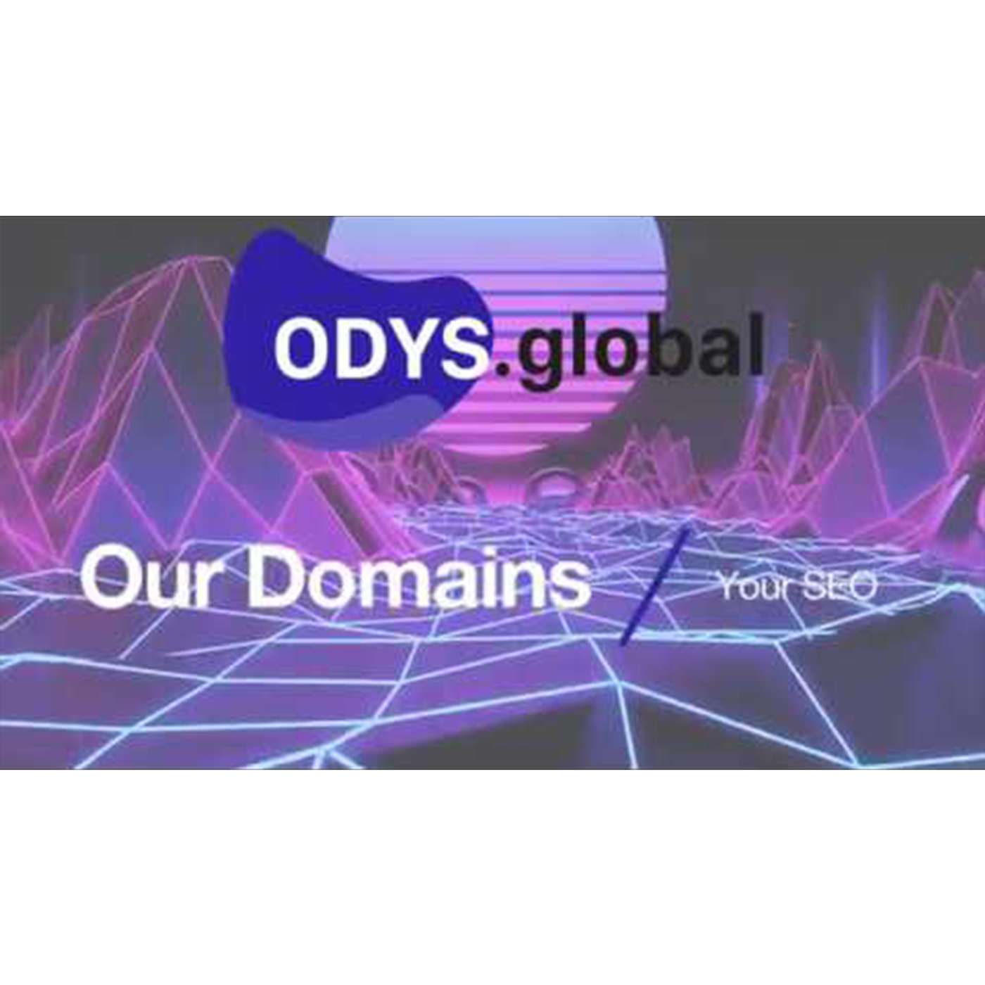ODYS.global Review | Our Domains, Your SEO